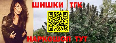 винт Татарск