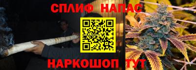 СК Тара