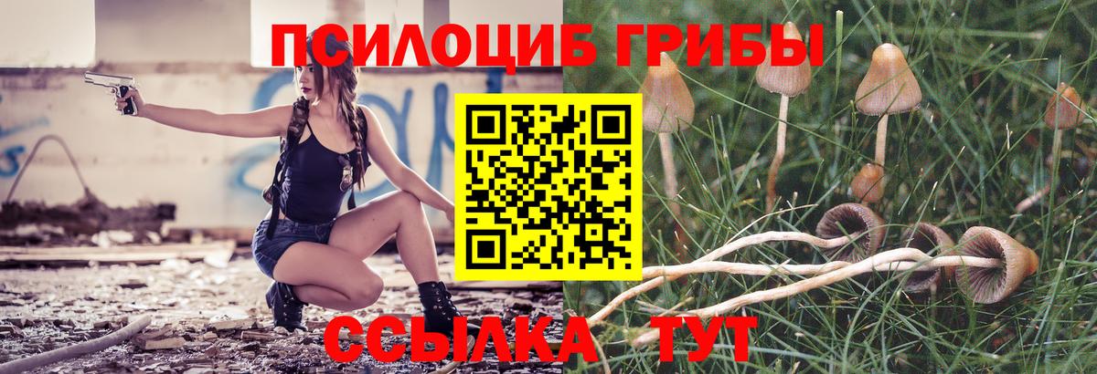 Галлюциногенные грибы Psilocybe  Псилоцибиновые грибы Psilocybe  Мыски  купить наркоту  Вход с VPN 