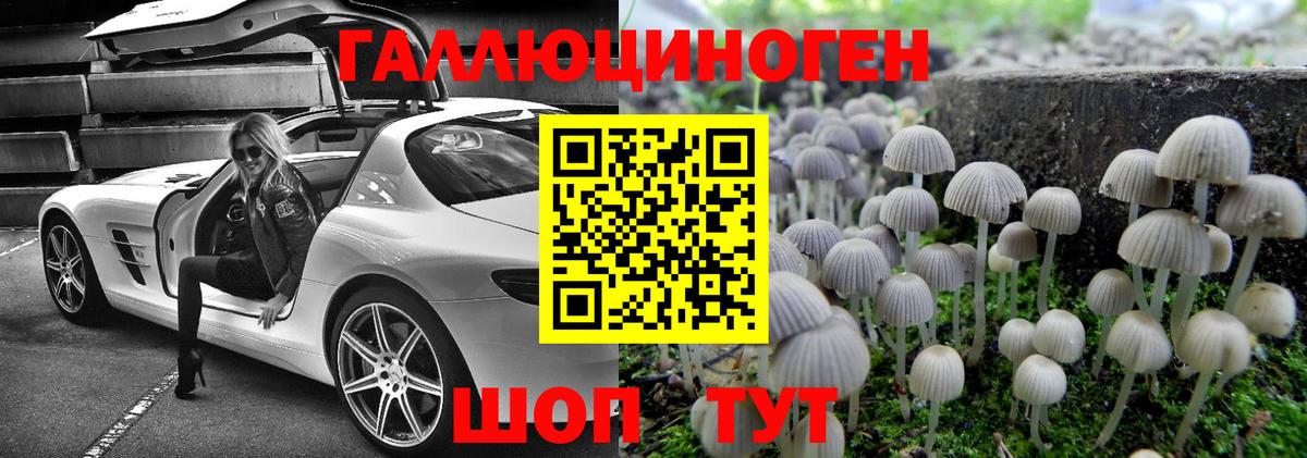 Псилоцибиновые грибы Psilocybine cubensis Мыски